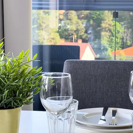 Διαμέρισμα Aseman Portti